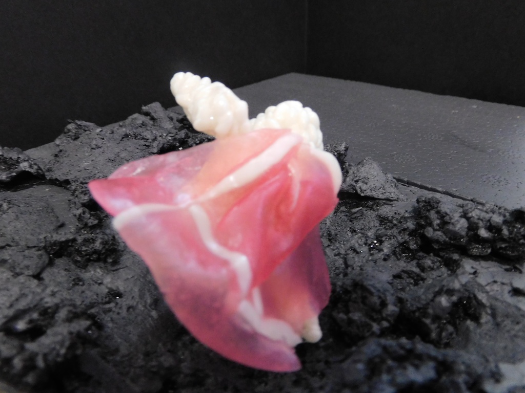 休日のお寿司(生ハム)~樹脂粘土ver~