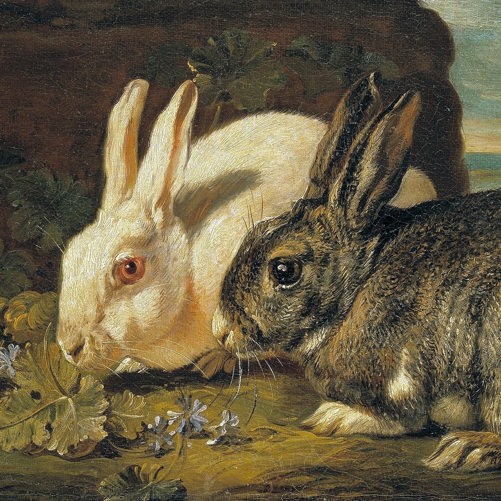 パブリックドメイン使用アイコン用画像