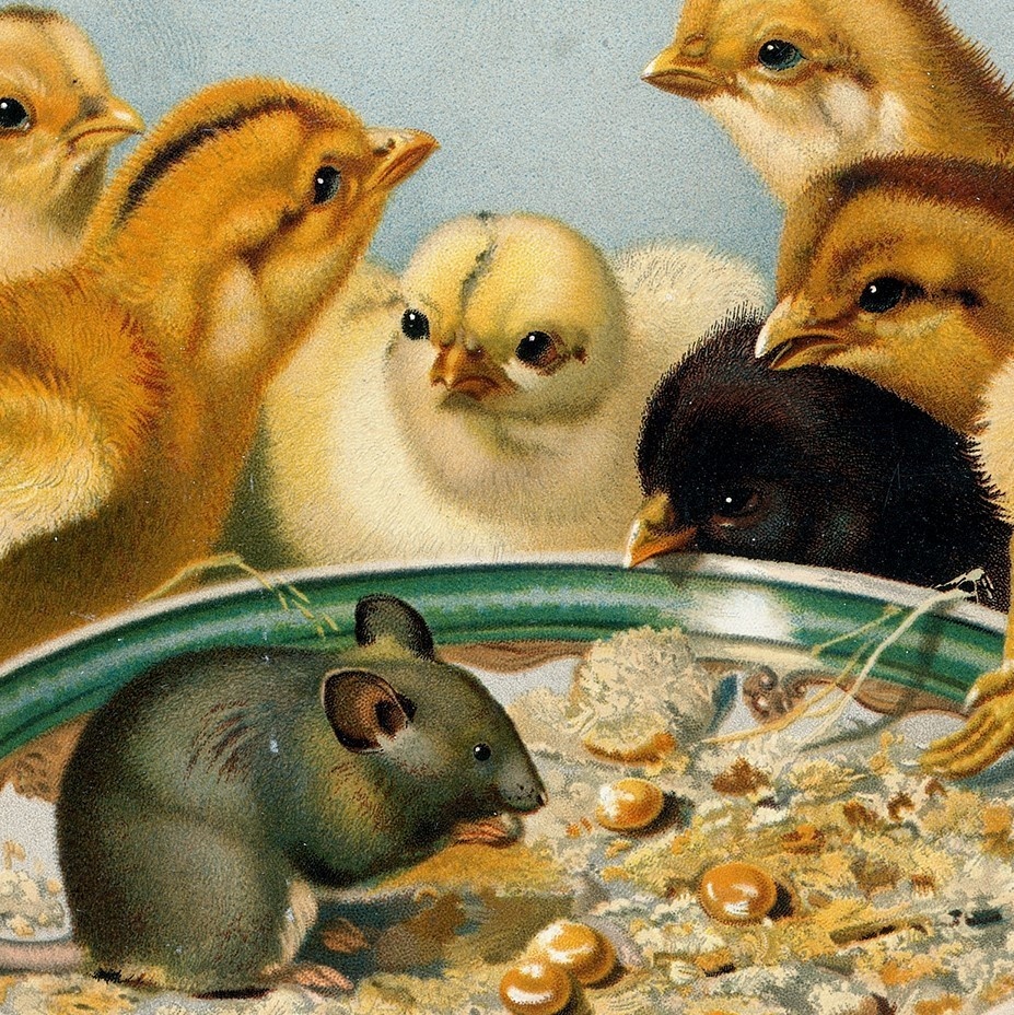 パブリックドメイン使用アイコン用画像