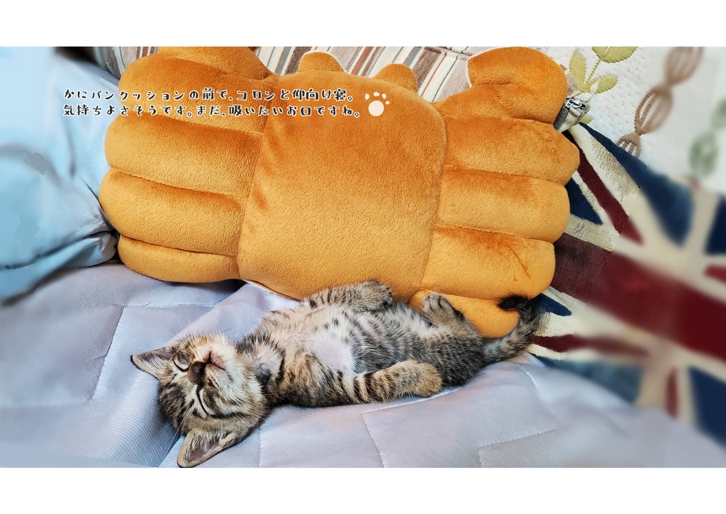 ちびすけがやってきた! N機関カレンダー2023