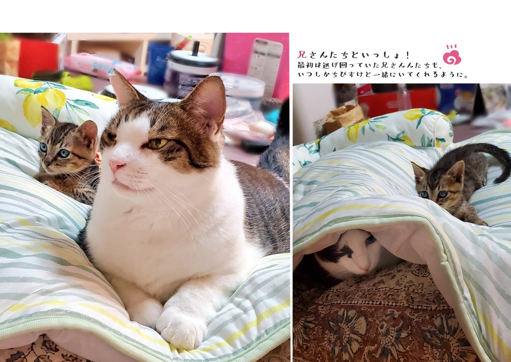 ちびすけがやってきた! N機関カレンダー2023