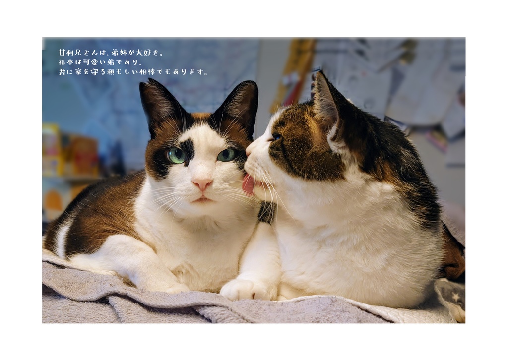 N機関カレンダー2026