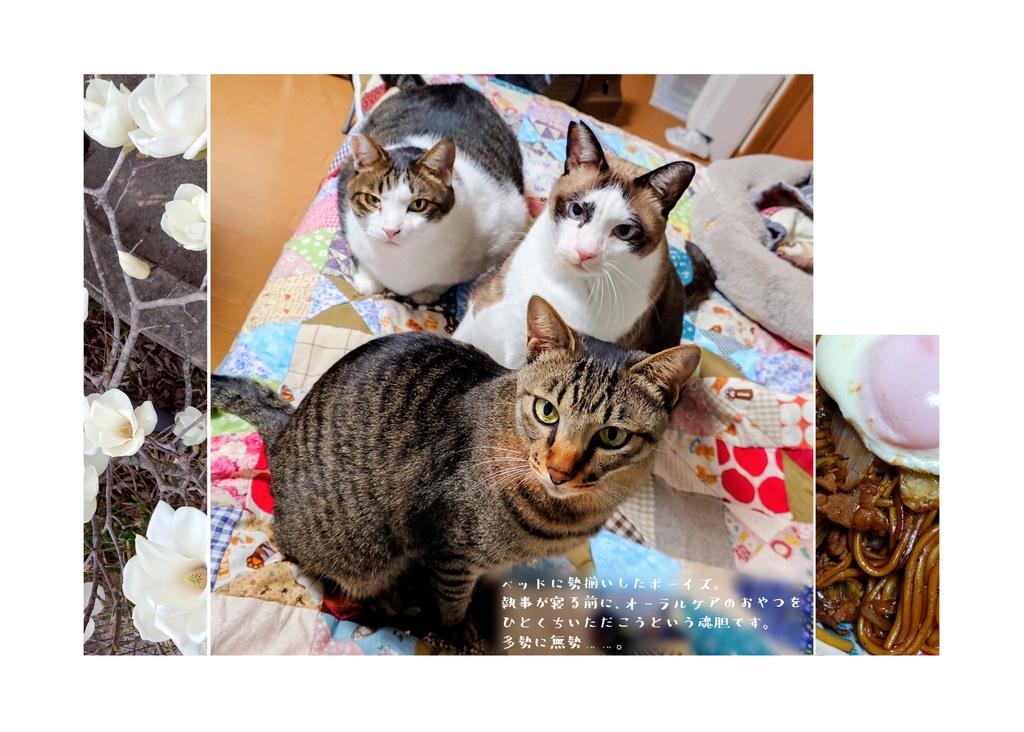 N機関カレンダー2026