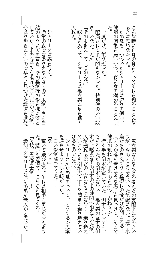 1.黒白の碑 (白魔道士×黒魔道士小説本)