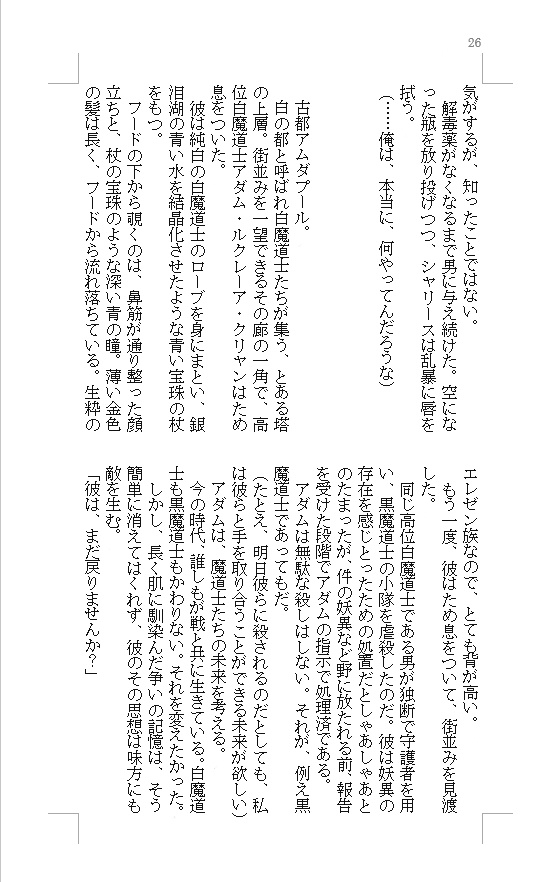 1.黒白の碑 (白魔道士×黒魔道士小説本)