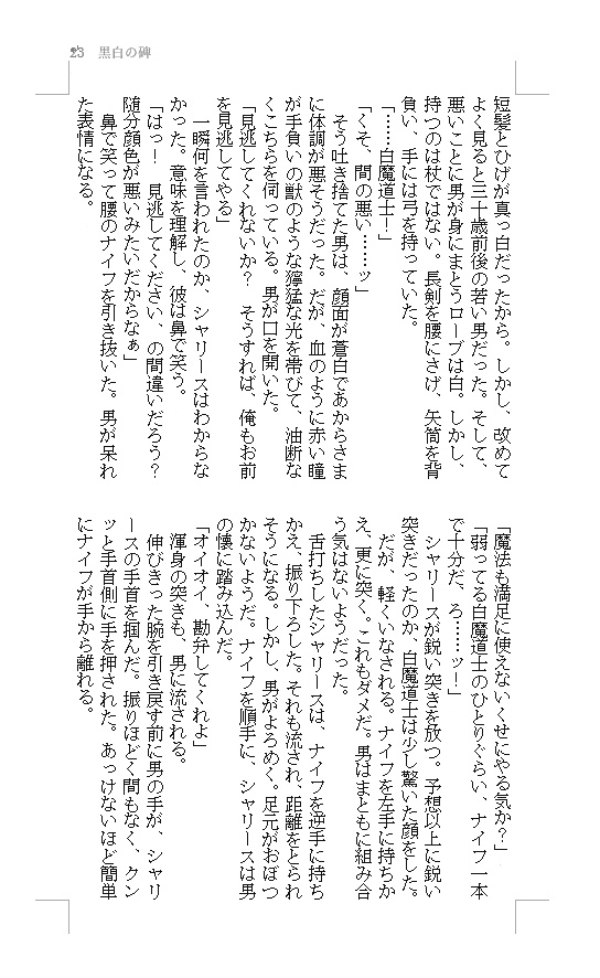 1.黒白の碑 (白魔道士×黒魔道士小説本)