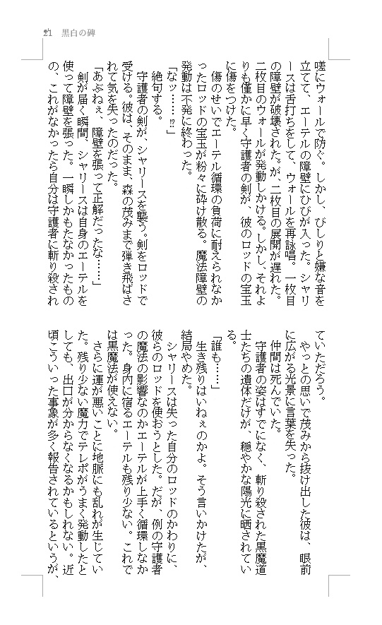 1.黒白の碑 (白魔道士×黒魔道士小説本)