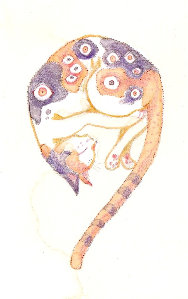 【原画】三毛の視線