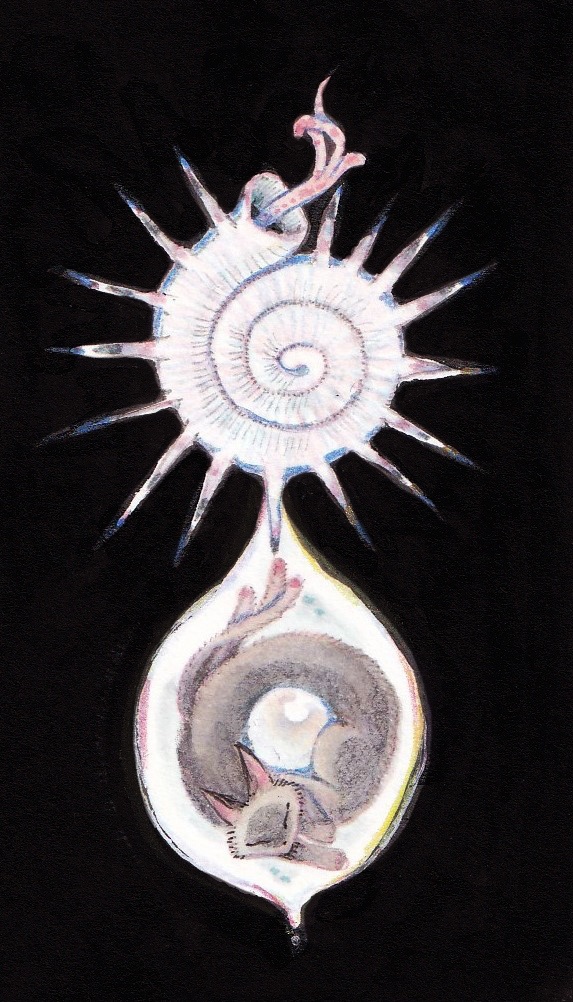 【原画】渦巻く貝の奥深く