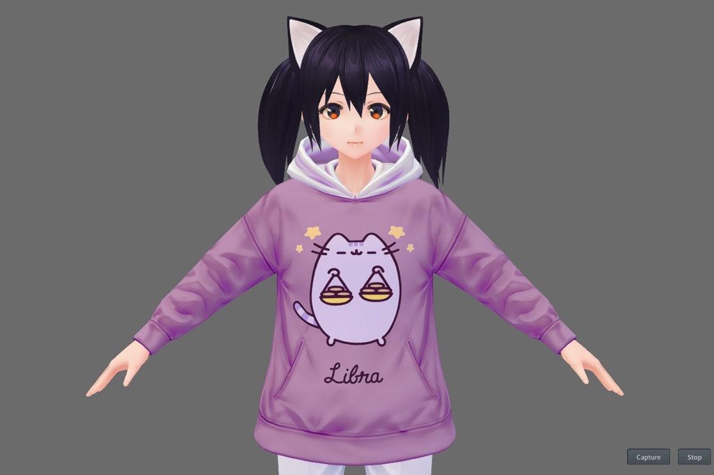 Zodiacal Pusheen Hoodie