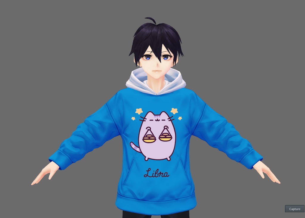 Zodiacal Pusheen Hoodie
