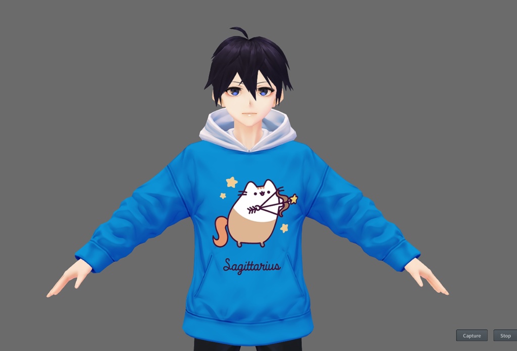 Zodiacal Pusheen Hoodie