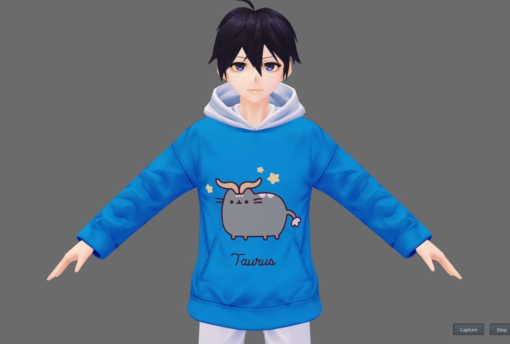 Zodiacal Pusheen Hoodie