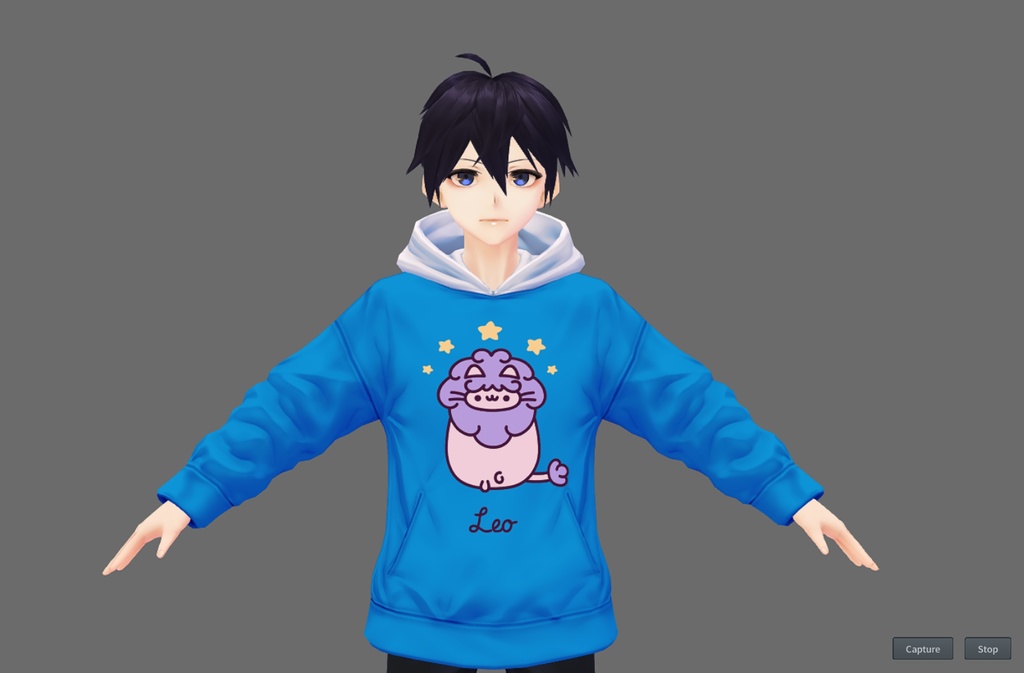 Zodiacal Pusheen Hoodie