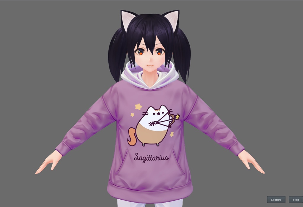 Zodiacal Pusheen Hoodie