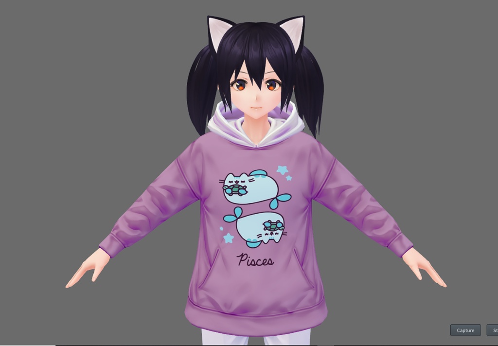 Zodiacal Pusheen Hoodie