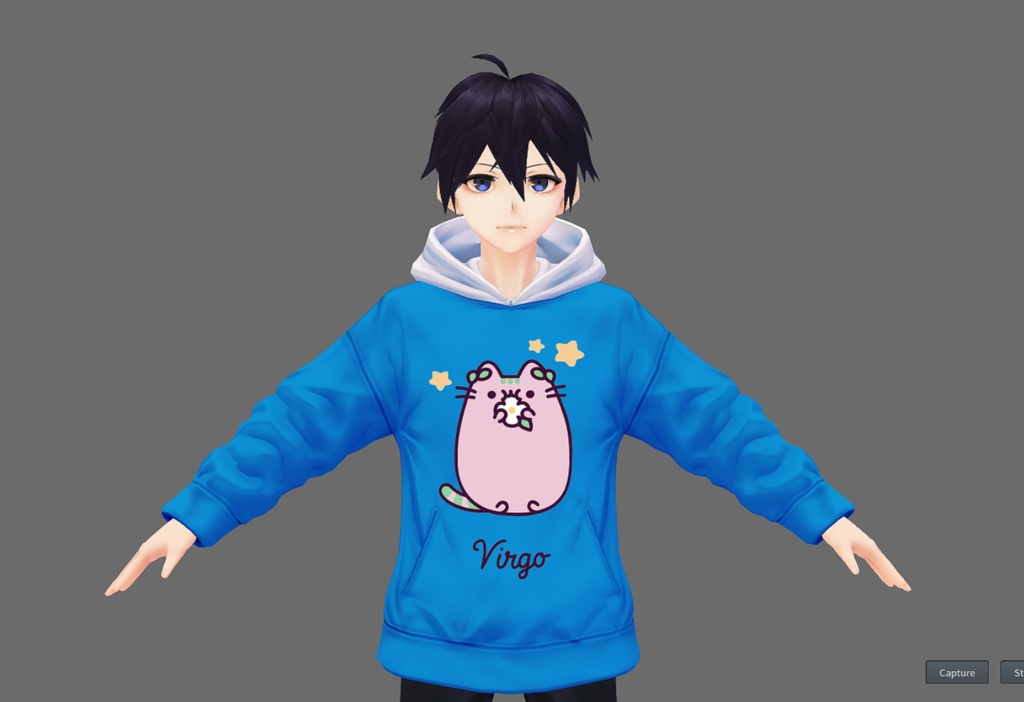 Zodiacal Pusheen Hoodie