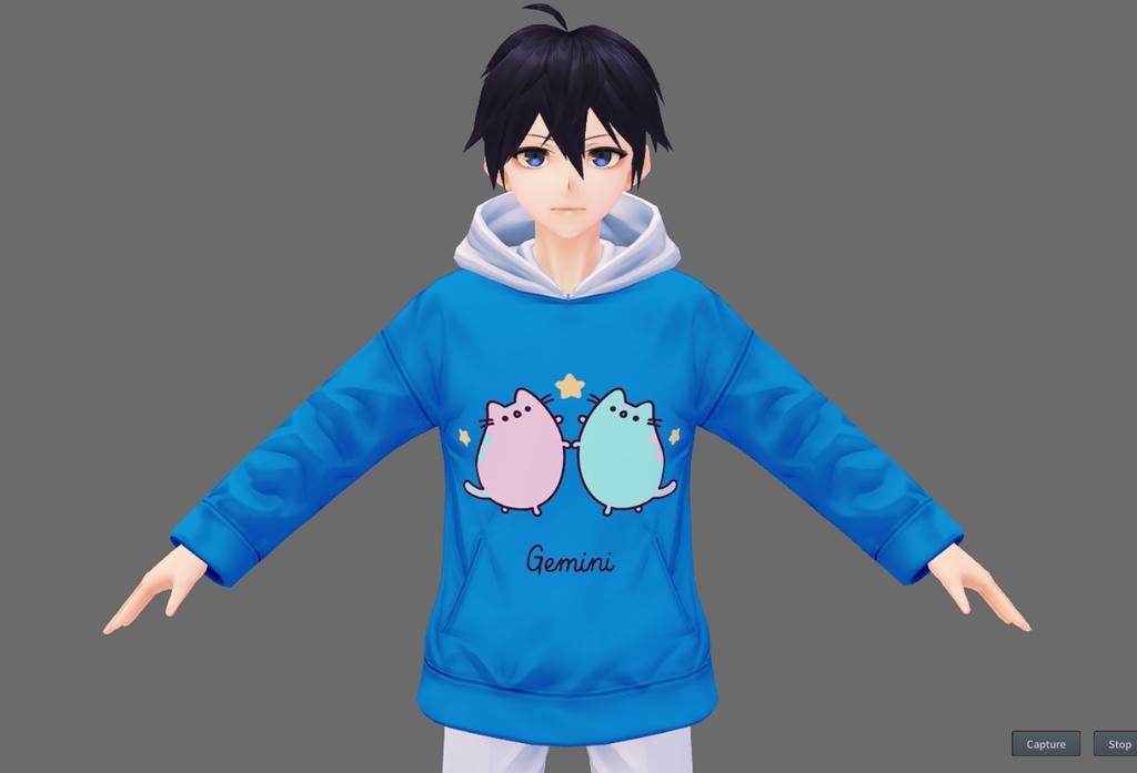 Zodiacal Pusheen Hoodie