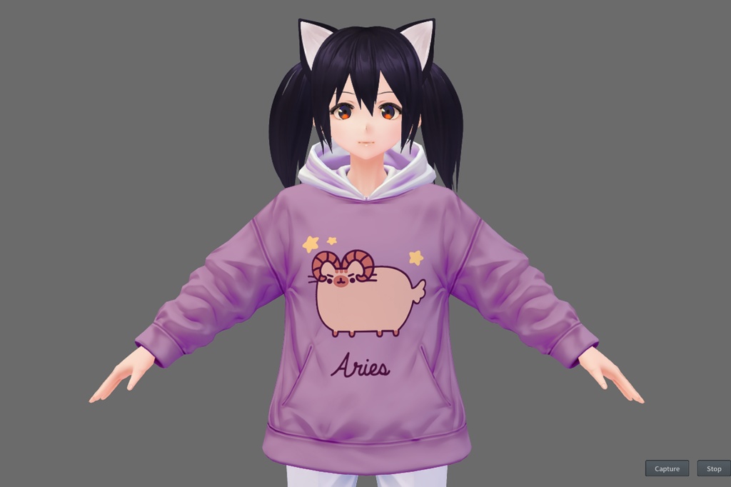 Zodiacal Pusheen Hoodie