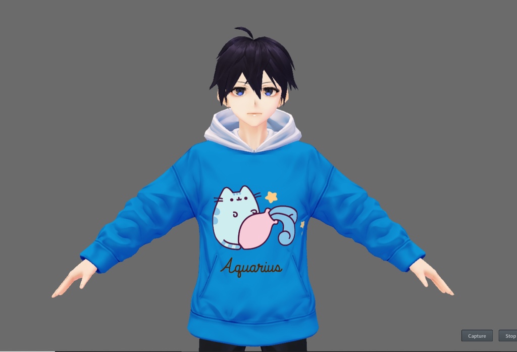 Zodiacal Pusheen Hoodie