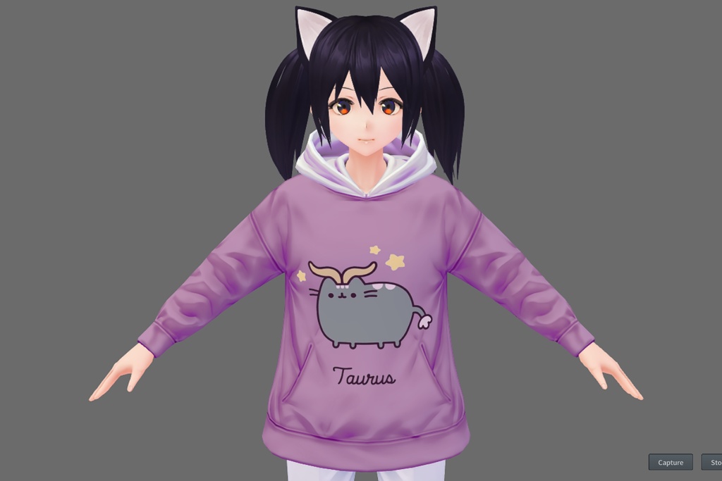 Zodiacal Pusheen Hoodie