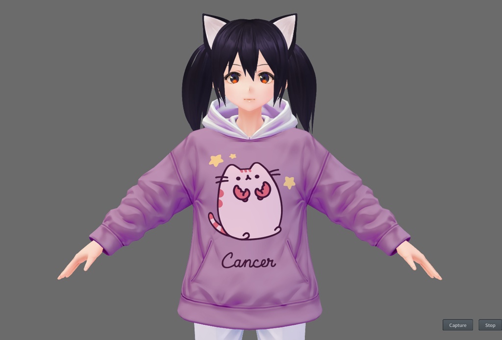 Zodiacal Pusheen Hoodie