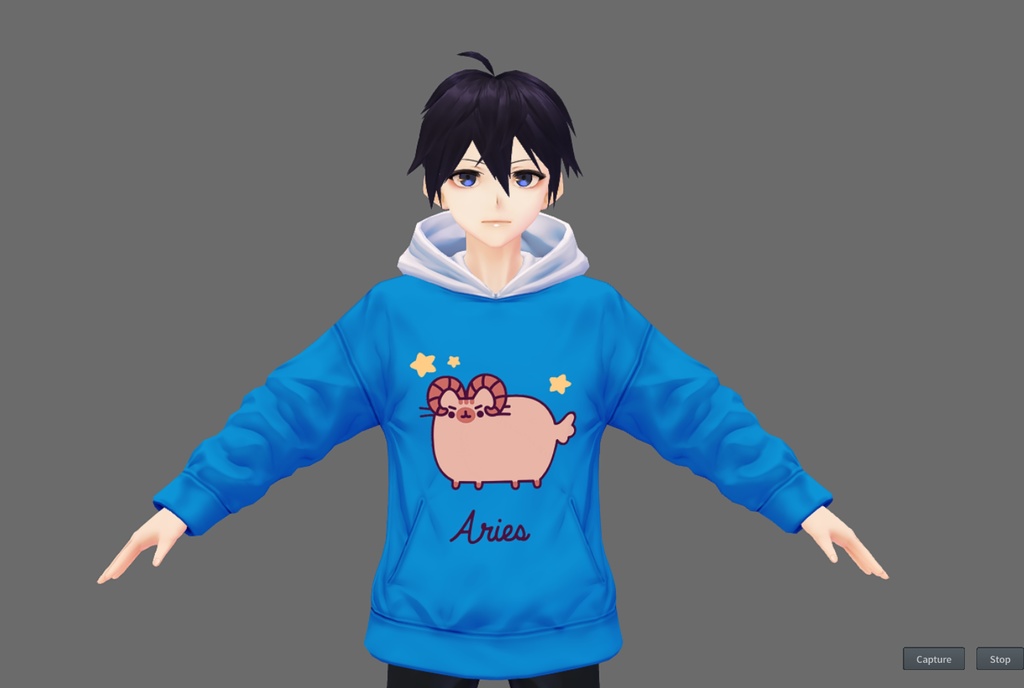 Zodiacal Pusheen Hoodie