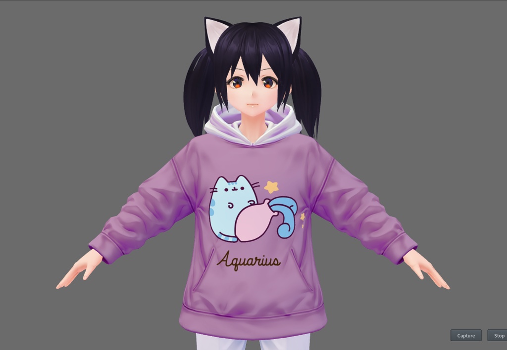 Zodiacal Pusheen Hoodie