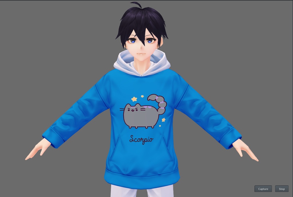 Zodiacal Pusheen Hoodie