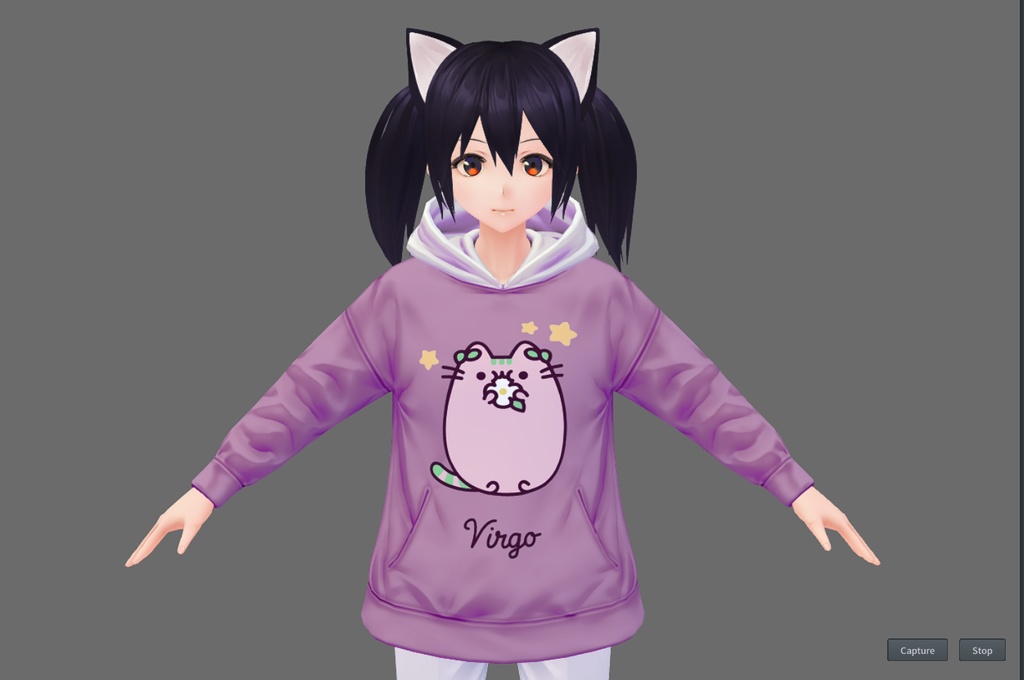 Zodiacal Pusheen Hoodie