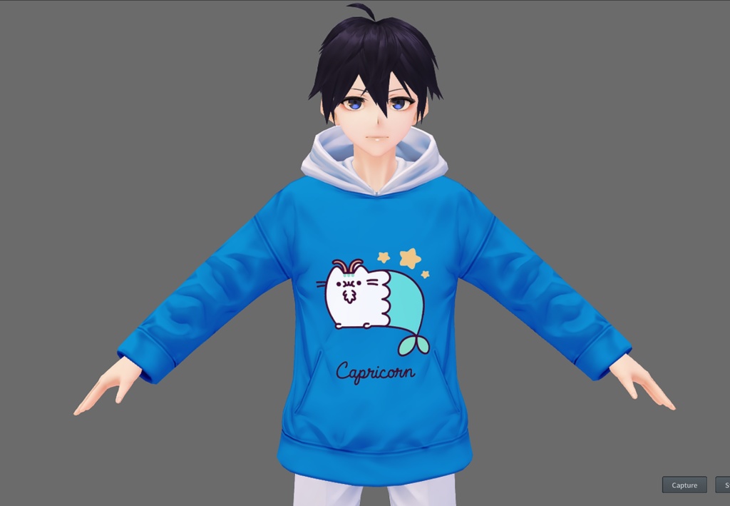 Zodiacal Pusheen Hoodie