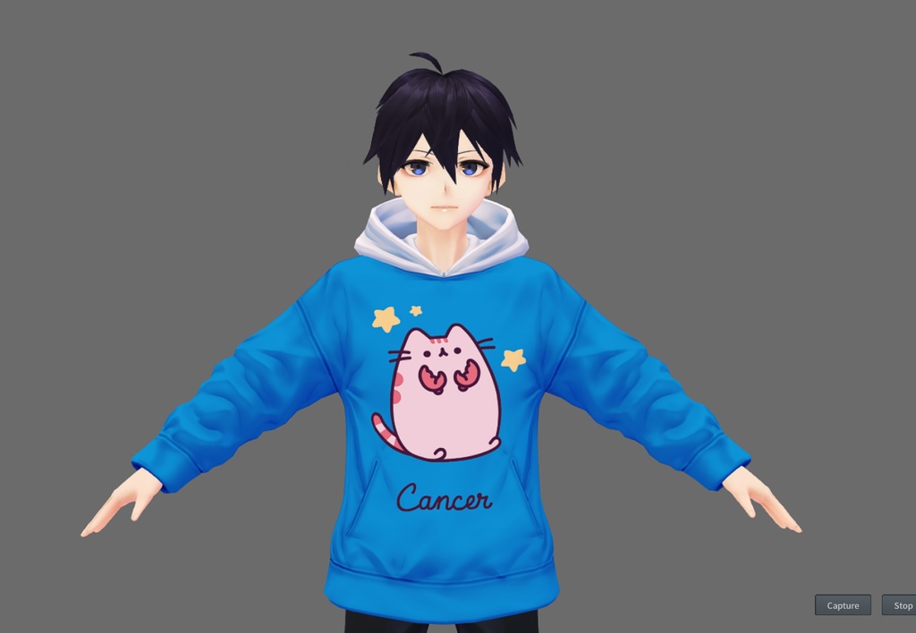 Zodiacal Pusheen Hoodie