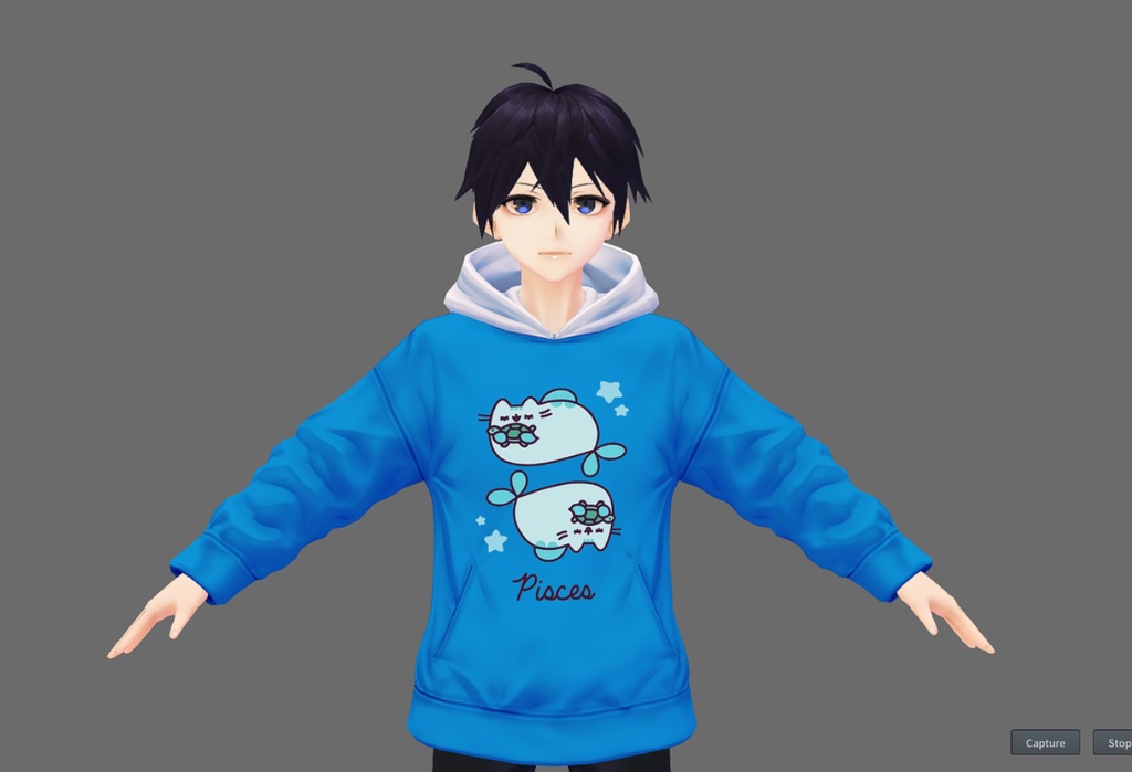 Zodiacal Pusheen Hoodie