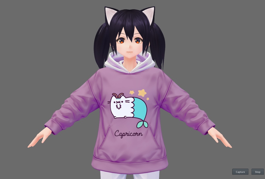 Zodiacal Pusheen Hoodie