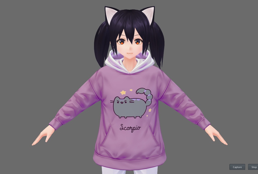 Zodiacal Pusheen Hoodie