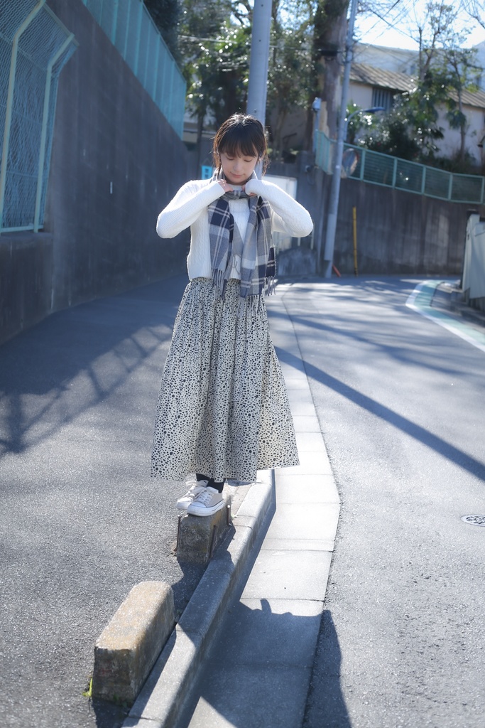 赤羽カオス-しじみ編Ⅲ