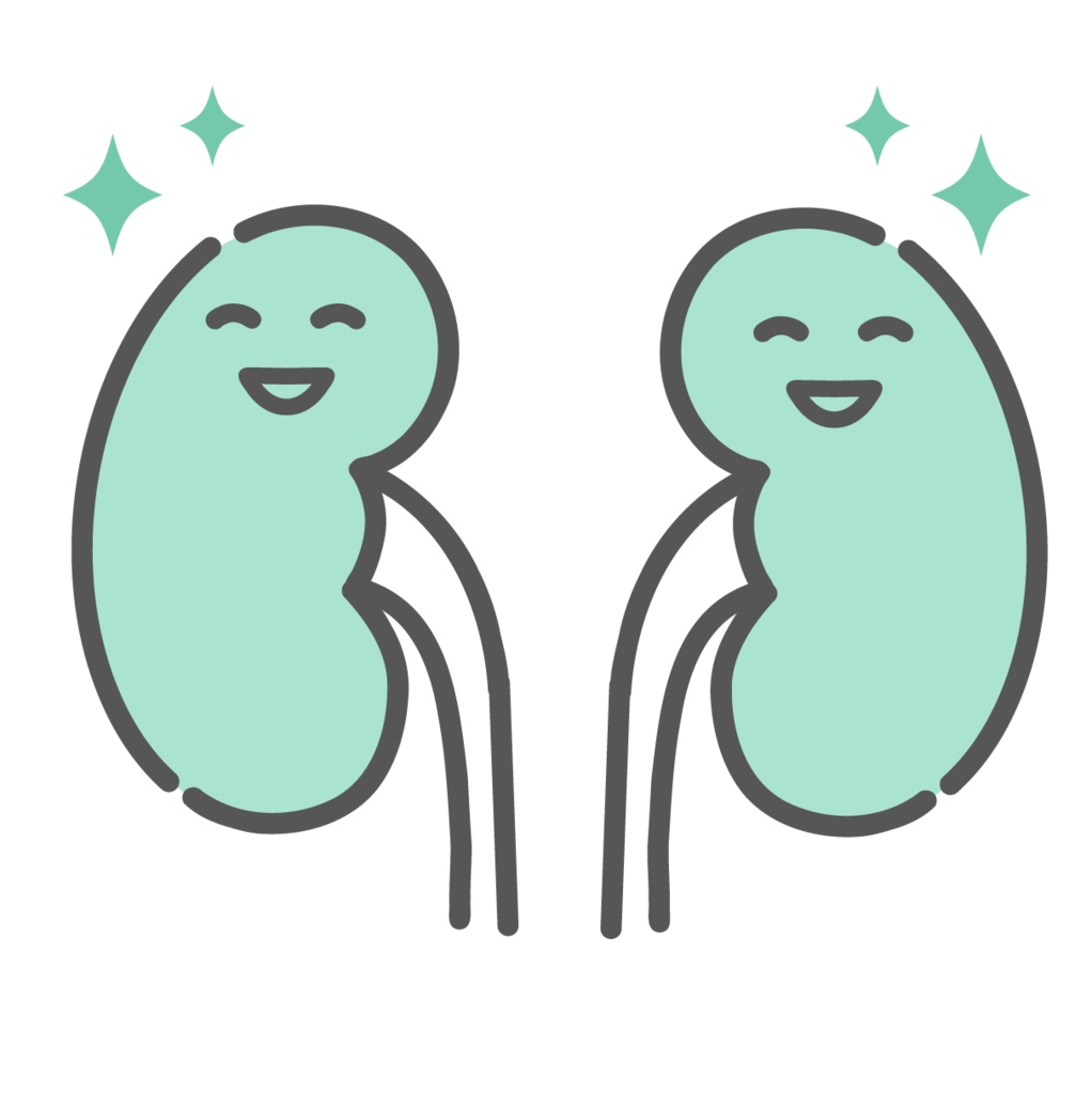 健康で元気な腎臓のキャラクターイラスト(正常・笑顔)