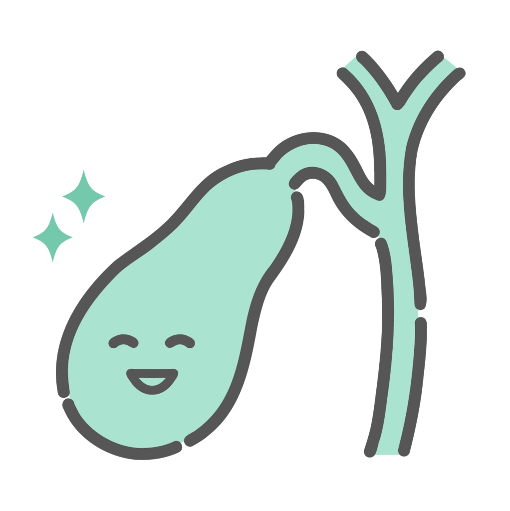 健康で元気な胆嚢のキャラクターイラスト(正常・消化機能)