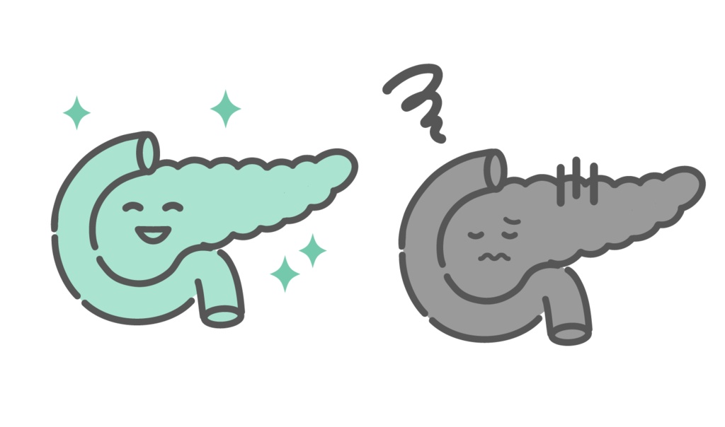 健康な膵臓と不調な膵臓の比較イラスト（キャラクター・糖尿病・膵炎）