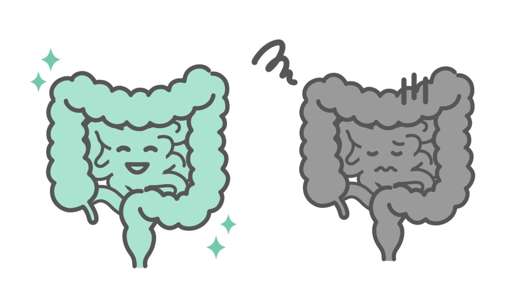 健康な腸と不調な腸の比較イラスト（キャラクター・便秘・過敏性腸症候群）