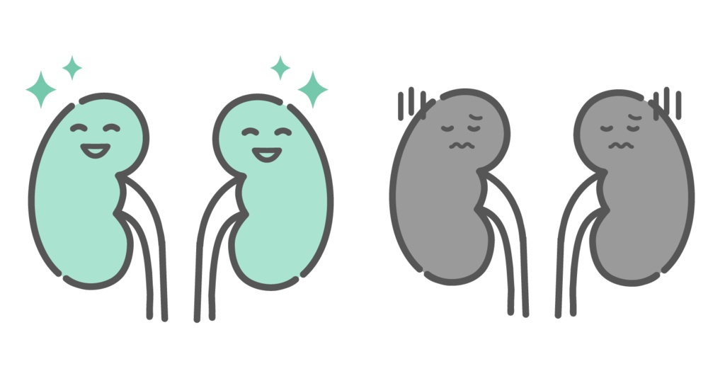 健康な腎臓と不調な腎臓の比較イラスト（キャラクター）