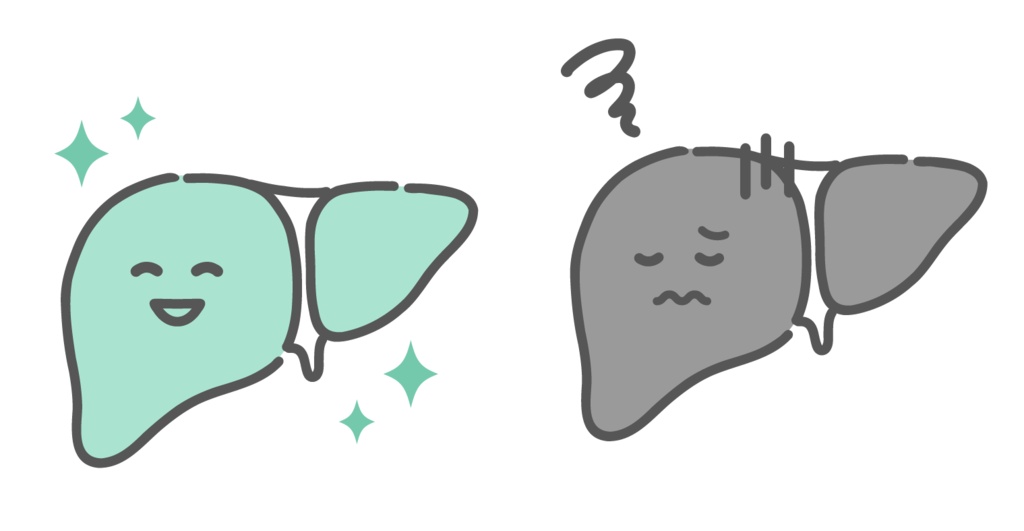 健康な肝臓と不調な肝臓の比較イラスト（キャラクター・肝炎・脂肪肝）