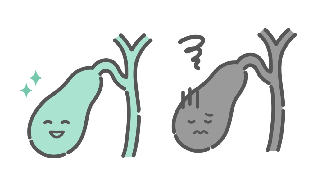 健康な胆嚢と不調な胆嚢の比較イラスト（キャラクター・胆石症・胆嚢炎）