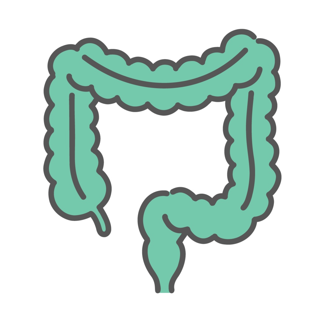 大腸（だいちょう）のイラスト