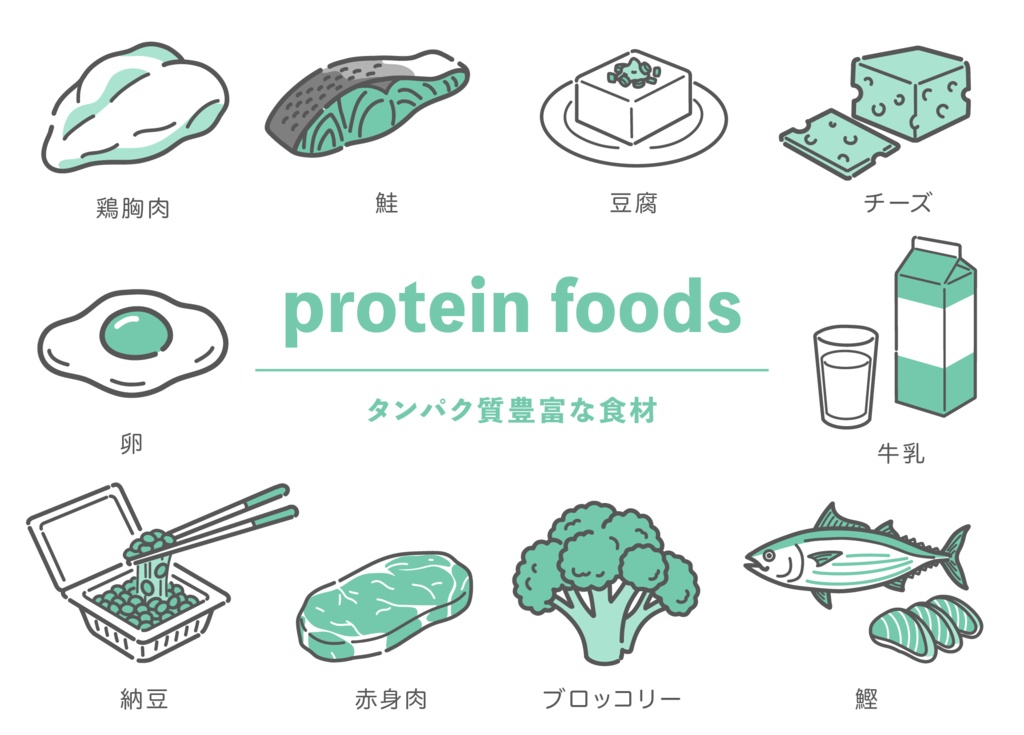 タンパク質が豊富な食材のイラストセット（肉・魚・豆・乳製品・野菜）
