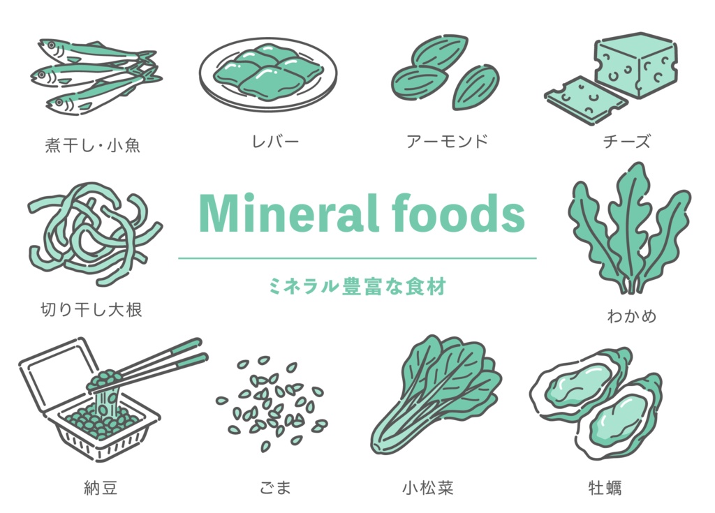ミネラルが豊富な食材のイラストセット（鉄分・カルシウム・亜鉛）
