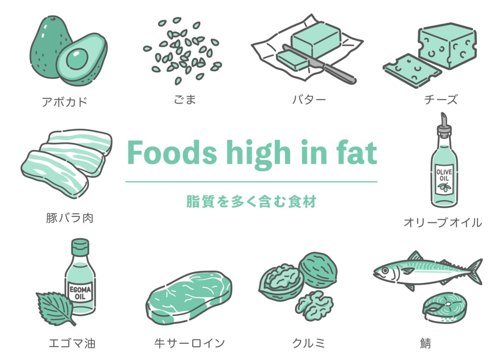 脂質を多く含む食材のイラストセット（良質な油・肉・魚・乳製品）