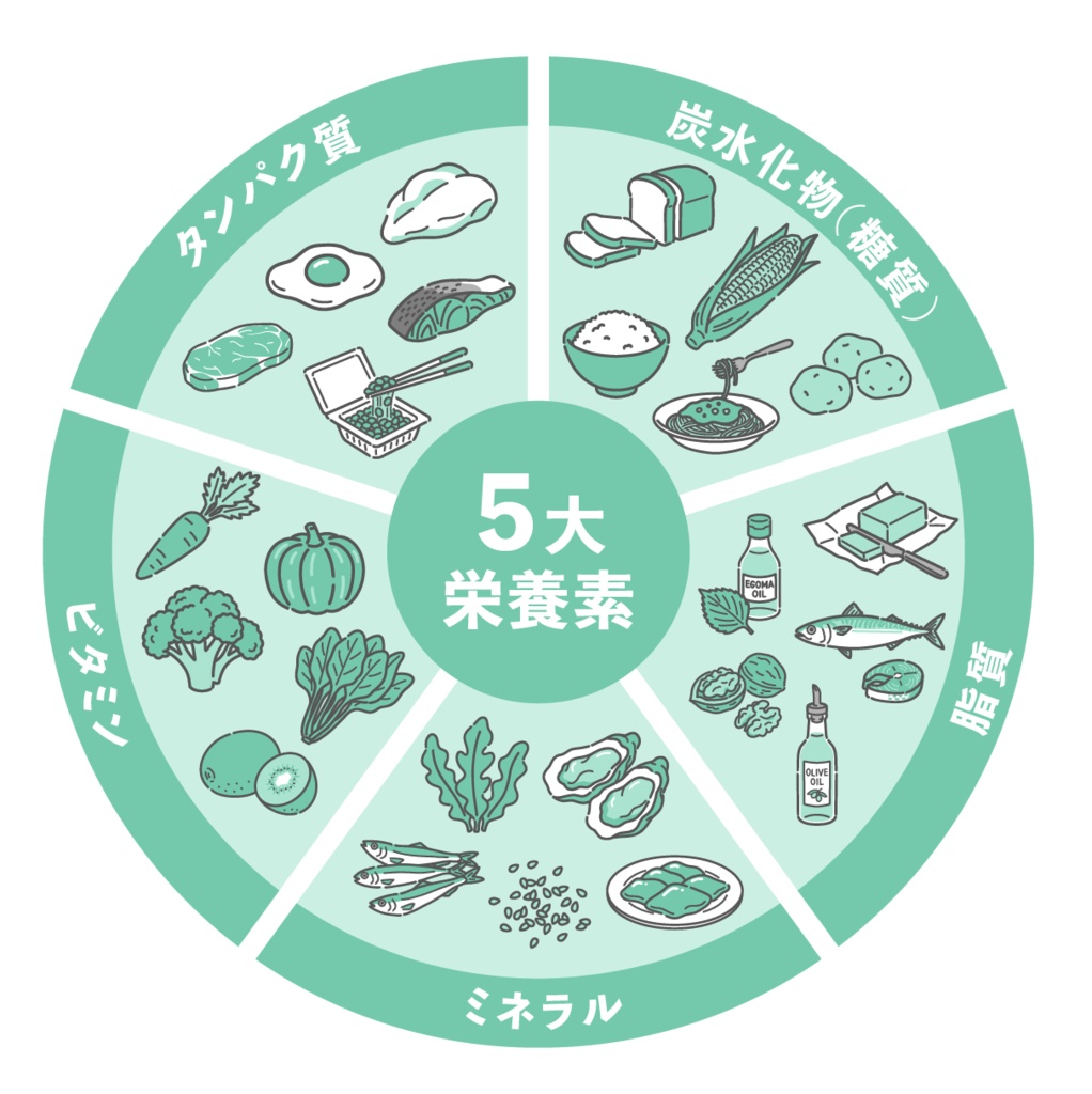 五大栄養素の食材円グラフ（炭水化物・脂質・タンパク質・ビタミン・ミネラル）