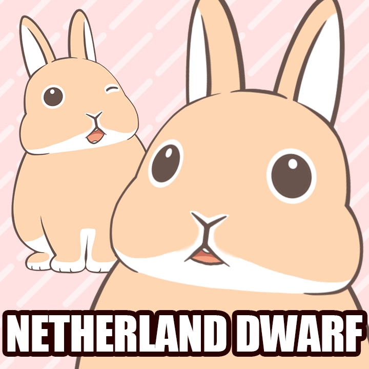 Live2Dうさぎアバター 第1弾