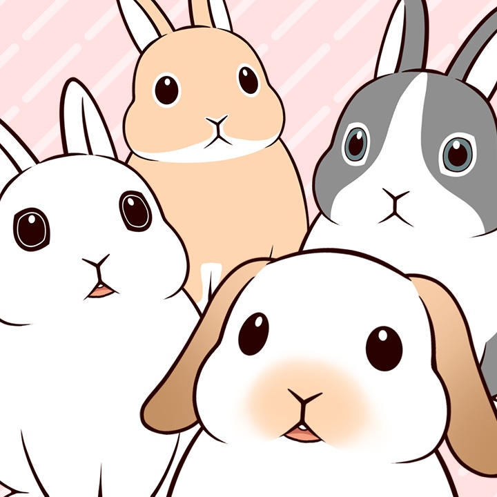 Live2Dうさぎアバター 第2弾